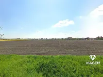 Prodej podílu pole, Běrunice, 1601 m2
