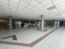 Pronájem obchodního prostoru, Brno, Heršpická, 1000 m2