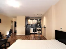 Pronájem bytu 1+kk, Praha - Karlín, Hybešova, 36 m2