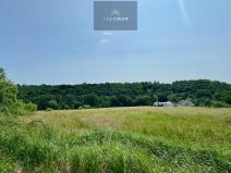 Prodej pozemku pro bydlení, Bílovec, 19605 m2