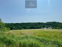 Prodej pozemku pro bydlení, Bílovec, 19605 m2