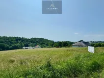 Prodej pozemku pro bydlení, Bílovec, 19605 m2