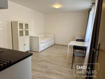 Pronájem bytu 1+kk, Lošany, 25 m2