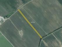 Prodej pole, Moravská Nová Ves, 6902 m2