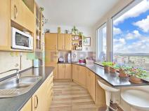Pronájem bytu 1+1, Kolín, Na Magistrále, 36 m2
