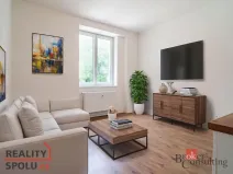 Pronájem bytu 1+kk, Ostrava - Přívoz, Palackého, 21 m2