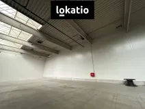 Pronájem skladu, Ostrava, 711 m2