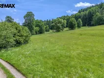 Prodej pozemku pro bydlení, Červená Voda, 3948 m2