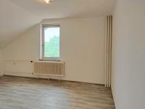 Pronájem bytu 1+1, Kozojedy, 48 m2