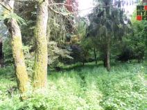Prodej rodinného domu, Nový Bor - Arnultovice, Havlíčkova, 138 m2