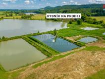 Prodej rybníku, Ostružno, 3377 m2