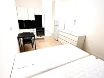 Pronájem bytu 1+kk, Praha - Vysočany, Poděbradská, 28 m2