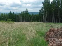 Prodej lesa, Městečko Trnávka - Lázy, 42338 m2