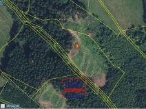 Prodej lesa, Svojek - Tample, 10149 m2