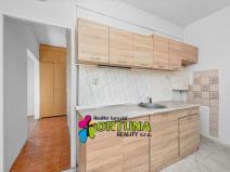 Prodej bytu 4+1, České Budějovice - České Budějovice 2, M. Chlajna, 80 m2