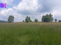 Prodej pole, Křižánky - České Křižánky, 5336 m2
