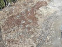 Dražba pozemku, Loučovice, 2570 m2