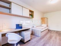 Pronájem bytu 1+kk, Brno, Plevova, 21 m2