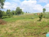 Prodej pozemku pro bydlení, Petrovice, 1611 m2