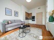 Pronájem bytu 1+kk, Brno, Opuštěná, 31 m2