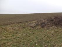 Prodej pole, Zvěstov - Bořkovice, 22738 m2