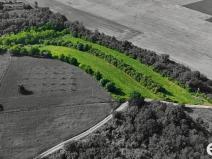 Prodej podílu 1/4 pozemku, Bechlín, 14560 m2