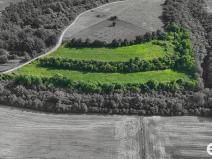 Prodej podílu 1/4 pozemku, Bechlín, 14560 m2