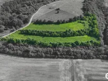 Prodej podílu 1/4 pozemku, Bechlín, 14560 m2