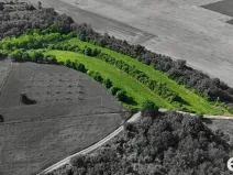 Prodej podílu 1/4 pozemku, Bechlín, 14560 m2