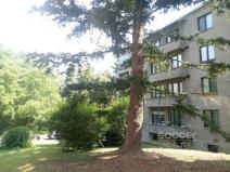 Pronájem bytu 2+1, Praha - Braník, Žalmanova, 50 m2