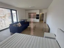 Pronájem bytu 1+kk, Brno, Auerswaldova, 46 m2