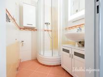 Pronájem bytu 2+kk, Praha, Štichova, 42 m2