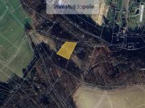 Prodej zahrady, Kostelec nad Orlicí - Kostelecká Lhota, 2094 m2