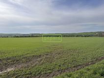Prodej pole, Brno - Tuřany, 5446 m2