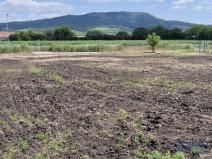Prodej pozemku pro bydlení, Dolní Dunajovice, Pálavská, 1250 m2