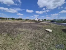 Prodej pozemku pro bydlení, Dolní Dunajovice, Pálavská, 631 m2