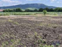 Prodej pozemku pro bydlení, Dolní Dunajovice, Pálavská, 631 m2