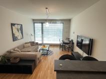 Pronájem bytu 2+kk, Praha - Vinohrady, Korunní, 85 m2