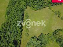 Prodej louky, Vizovice, Těchlov, 7426 m2