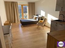 Prodej bytu 1+kk, Slaný, Lázeňská, 33 m2
