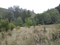 Dražba pole, Traplice, 19641 m2