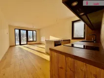Pronájem bytu 2+kk, Harrachov - Nový Svět, 55 m2