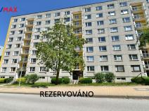 Prodej bytu 1+1, Nová Paka, K Hájku, 33 m2