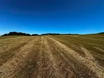 Prodej louky, Nový Jičín, 10482 m2