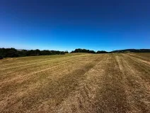 Prodej louky, Nový Jičín, 10482 m2