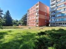 Prodej bytu 1+kk, Nový Bor, Sadová, 28 m2
