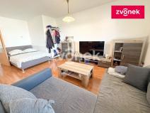 Pronájem bytu 1+kk, Zlín, Voženílkova, 46 m2