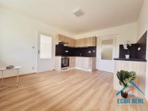 Prodej apartmánu, Stará Paka - Ústí, 260 m2