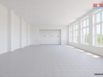 Pronájem obchodního prostoru, Březová, 558 m2