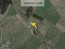 Prodej louky, Neustupov - Královna, 1853 m2